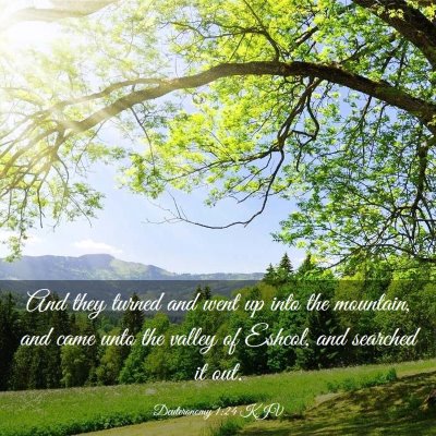 Picture 03 - Deuteronomy 1:24 KJV - And they turned and went up into the mountain, - Bible Verse Picture
