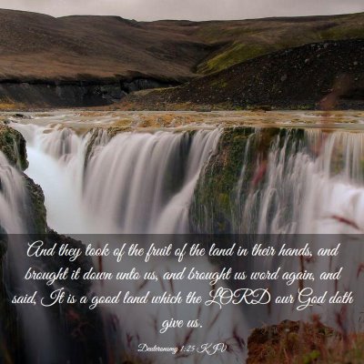 Picture 03 - Deuteronomy 1:25 KJV - And they took of the fruit of the land in their - Bible Verse Picture