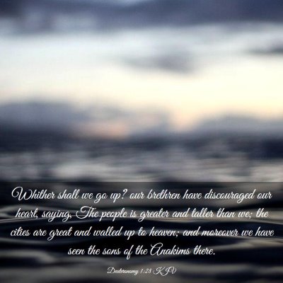 Picture 03 - Deuteronomy 1:28 KJV - Whither shall we go up? our brethren have - Bible Verse Picture