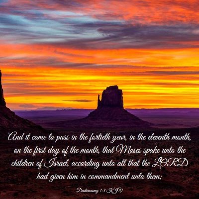 Picture 03 - Deuteronomy 1:3 KJV - And it came to pass in the fortieth year, in the - Bible Verse Picture