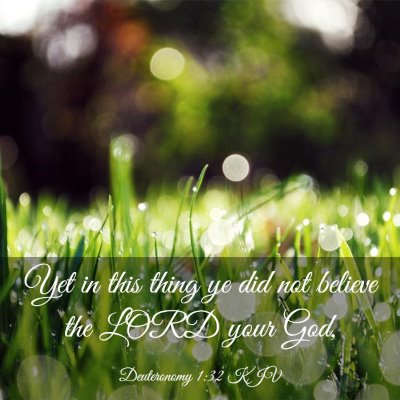 Picture 03 - Deuteronomy 1:32 KJV - Yet in this thing ye did not believe the LORD - Bible Verse Picture