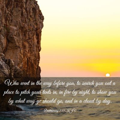 Picture 03 - Deuteronomy 1:33 KJV - Who went in the way before you, to search you out - Bible Verse Picture
