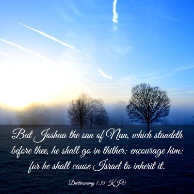 Picture 03 - Deuteronomy 1:38 KJV - But Joshua the son of Nun, which standeth before - Bible Verse Picture