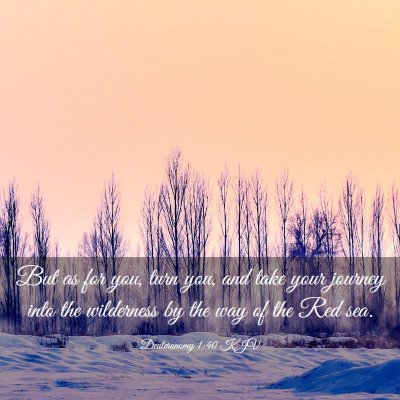 Picture 03 - Deuteronomy 1:40 KJV - But as for you, turn you, and take your journey - Bible Verse Picture