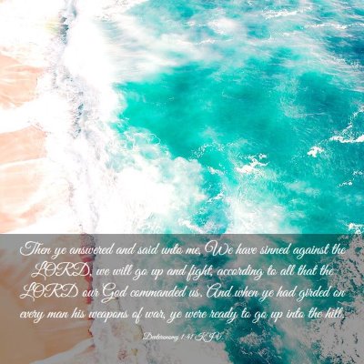 Picture 03 - Deuteronomy 1:41 KJV - Then ye answered and said unto me, We have sinned - Bible Verse Picture