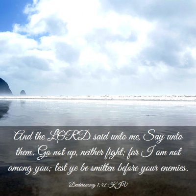 Picture 03 - Deuteronomy 1:42 KJV - And the LORD said unto me, Say unto them. Go not - Bible Verse Picture
