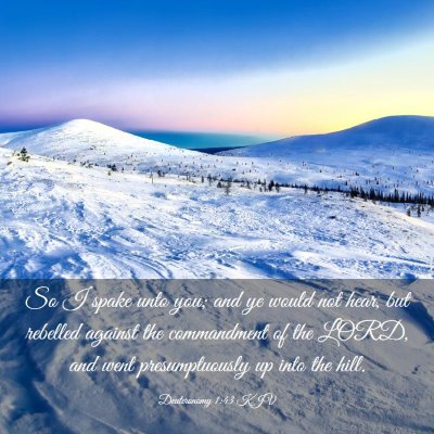 Picture 03 - Deuteronomy 1:43 KJV - So I spake unto you; and ye would not hear, but - Bible Verse Picture