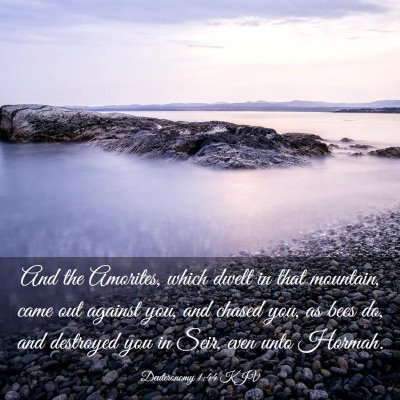 Picture 03 - Deuteronomy 1:44 KJV - And the Amorites, which dwelt in that mountain, - Bible Verse Picture