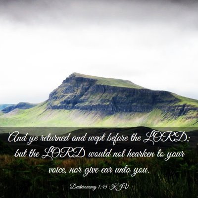 Picture 03 - Deuteronomy 1:45 KJV - And ye returned and wept before the LORD; but the - Bible Verse Picture