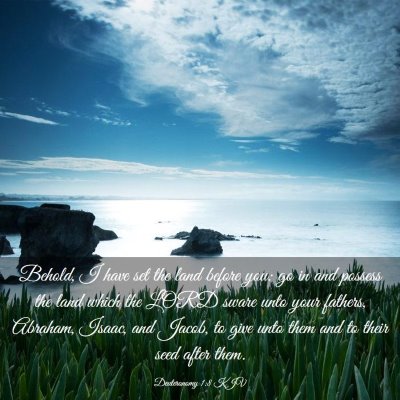 Picture 03 - Deuteronomy 1:8 KJV - Behold, I have set the land before you: go in and - Bible Verse Picture