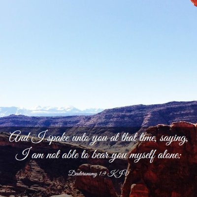 Picture 03 - Deuteronomy 1:9 KJV - And I spake unto you at that time, saying, I am - Bible Verse Picture