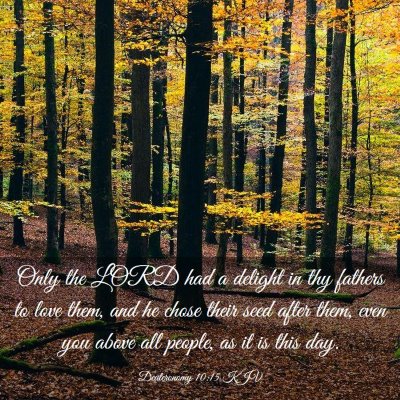 Picture 03 - Deuteronomy 10:15 KJV - Only the LORD had a delight in thy fathers to - Bible Verse Picture