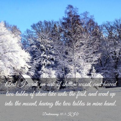 Picture 03 - Deuteronomy 10:3 KJV - And I made an ark of shittim wood, and hewed two - Bible Verse Picture