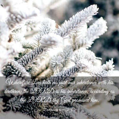 Picture 03 - Deuteronomy 10:9 KJV - Wherefore Levi hath no part nor inheritance with - Bible Verse Picture