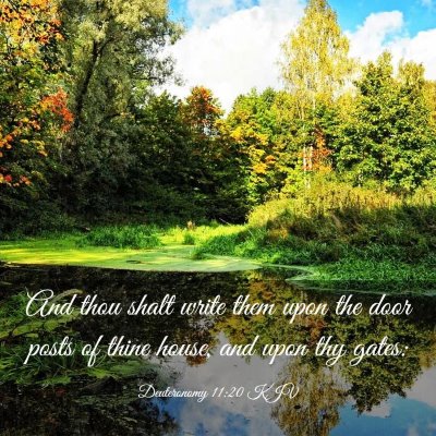 Picture 03 - Deuteronomy 11:20 KJV - And thou shalt write them upon the door posts of - Bible Verse Picture
