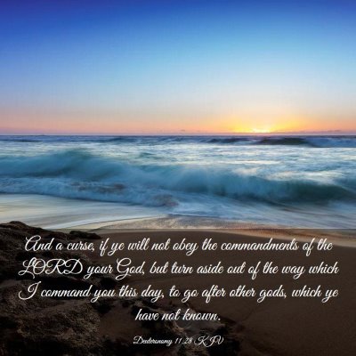 Picture 03 - Deuteronomy 11:28 KJV - And a curse, if ye will not obey the commandments - Bible Verse Picture