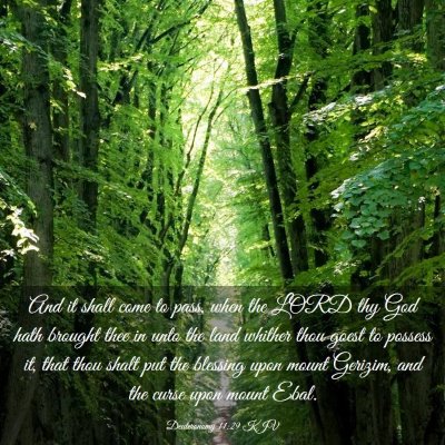 Picture 03 - Deuteronomy 11:29 KJV - And it shall come to pass, when the LORD thy God - Bible Verse Picture