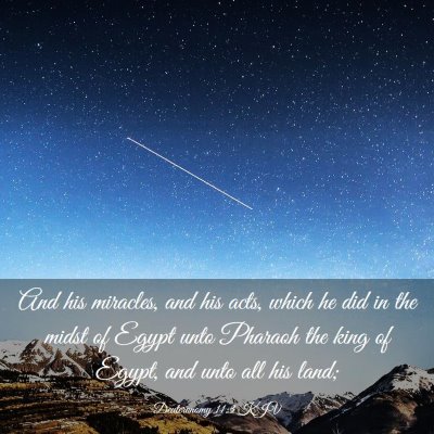 Picture 03 - Deuteronomy 11:3 KJV - And his miracles, and his acts, which he did in - Bible Verse Picture