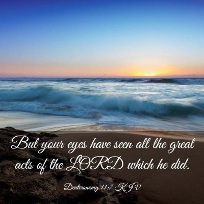 Picture 03 - Deuteronomy 11:7 KJV - But your eyes have seen all the great acts of the - Bible Verse Picture
