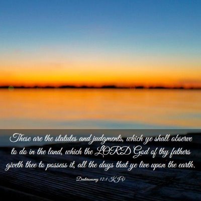 Picture 03 - Deuteronomy 12:1 KJV - These are the statutes and judgments, which ye - Bible Verse Picture