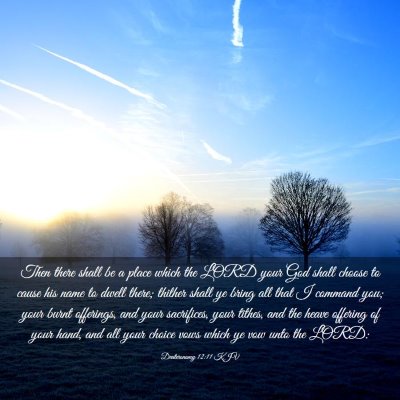 Picture 03 - Deuteronomy 12:11 KJV - Then there shall be a place which the LORD your - Bible Verse Picture