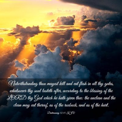 Picture 03 - Deuteronomy 12:15 KJV - Notwithstanding thou mayest kill and eat flesh in - Bible Verse Picture