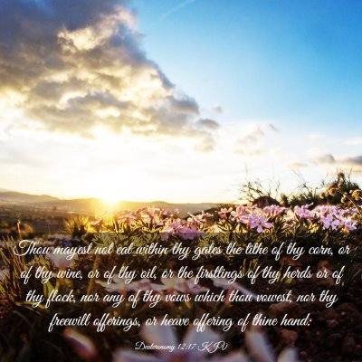 Picture 03 - Deuteronomy 12:17 KJV - Thou mayest not eat within thy gates the tithe of - Bible Verse Picture