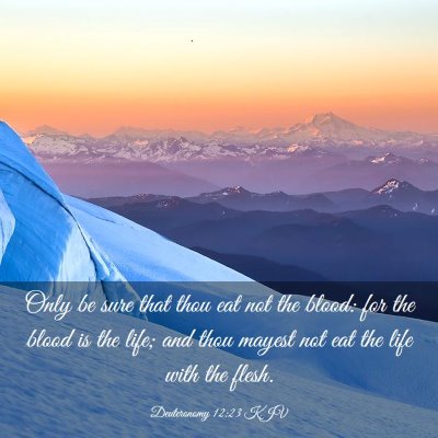 Picture 03 - Deuteronomy 12:23 KJV - Only be sure that thou eat not the blood: for the - Bible Verse Picture