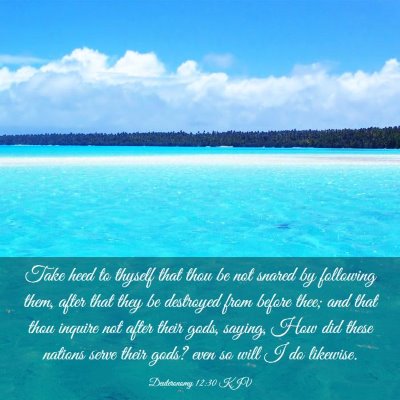 Picture 03 - Deuteronomy 12:30 KJV - Take heed to thyself that thou be not snared by - Bible Verse Picture