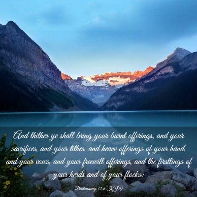 Picture 03 - Deuteronomy 12:6 KJV - And thither ye shall bring your burnt offerings, - Bible Verse Picture