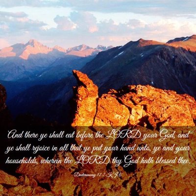 Picture 03 - Deuteronomy 12:7 KJV - And there ye shall eat before the LORD your God, - Bible Verse Picture
