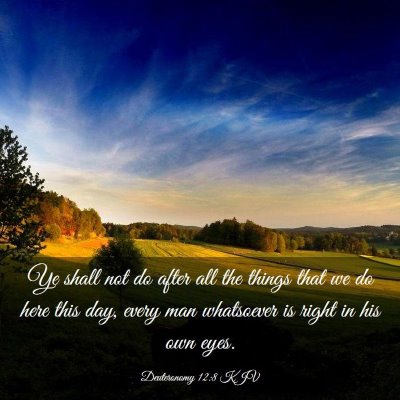 Picture 03 - Deuteronomy 12:8 KJV - Ye shall not do after all the things that we do - Bible Verse Picture
