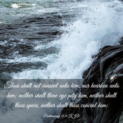 Picture 03 - Deuteronomy 13:8 KJV - Thou shalt not consent unto him, nor hearken unto - Bible Verse Picture