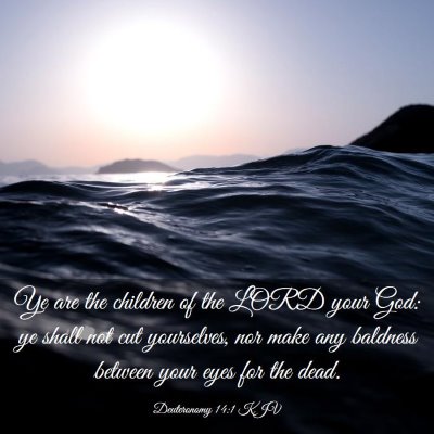 Picture 03 - Deuteronomy 14:1 KJV - Ye are the children of the LORD your God: ye - Bible Verse Picture