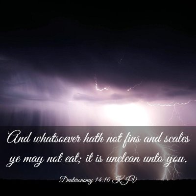 Picture 03 - Deuteronomy 14:10 KJV - And whatsoever hath not fins and scales ye may - Bible Verse Picture