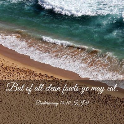 Picture 03 - Deuteronomy 14:20 KJV - But of all clean fowls ye may - Bible Verse Picture