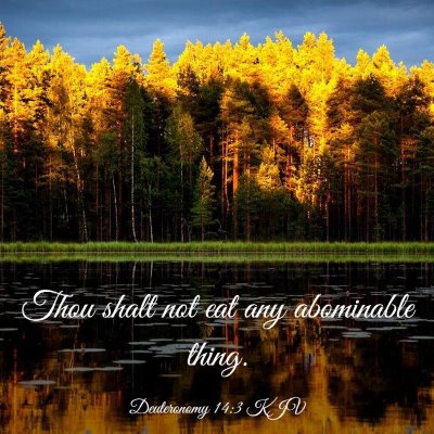 Picture 03 - Deuteronomy 14:3 KJV - Thou shalt not eat any abominable - Bible Verse Picture