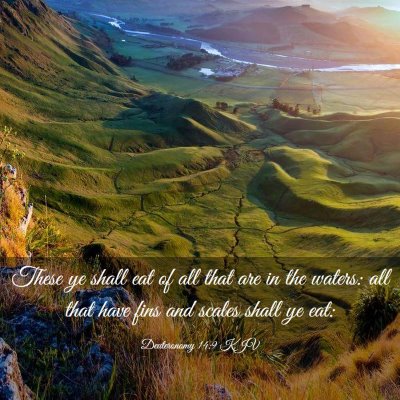 Picture 03 - Deuteronomy 14:9 KJV - These ye shall eat of all that are in the waters: - Bible Verse Picture