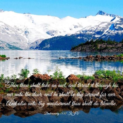 Picture 03 - Deuteronomy 15:17 KJV - Then thou shalt take an awl, and thrust it - Bible Verse Picture