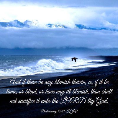 Picture 03 - Deuteronomy 15:21 KJV - And if there be any blemish therein, as if it be - Bible Verse Picture