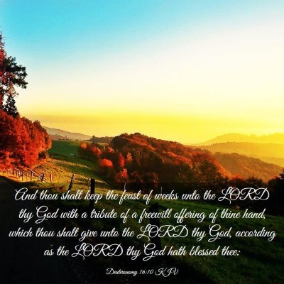 Picture 03 - Deuteronomy 16:10 KJV - And thou shalt keep the feast of weeks unto the - Bible Verse Picture