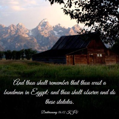 Picture 03 - Deuteronomy 16:12 KJV - And thou shalt remember that thou wast a bondman - Bible Verse Picture