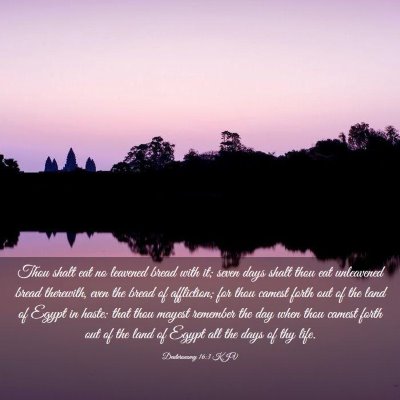 Picture 03 - Deuteronomy 16:3 KJV - Thou shalt eat no leavened bread with it; seven - Bible Verse Picture