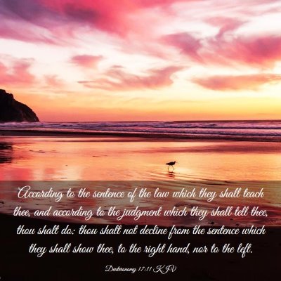 Picture 03 - Deuteronomy 17:11 KJV - According to the sentence of the law which they - Bible Verse Picture