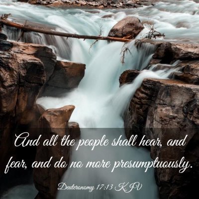 Picture 03 - Deuteronomy 17:13 KJV - And all the people shall hear, and fear, and do - Bible Verse Picture