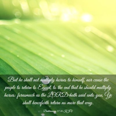 Picture 03 - Deuteronomy 17:16 KJV - But he shall not multiply horses to himself, nor - Bible Verse Picture