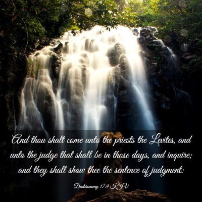 Picture 03 - Deuteronomy 17:9 KJV - And thou shalt come unto the priests the Levites, - Bible Verse Picture