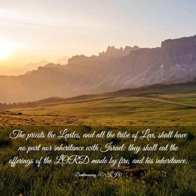 Picture 03 - Deuteronomy 18:1 KJV - The priests the Levites, and all the tribe of - Bible Verse Picture