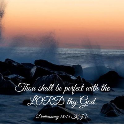 Picture 03 - Deuteronomy 18:13 KJV - Thou shalt be perfect with the LORD thy - Bible Verse Picture
