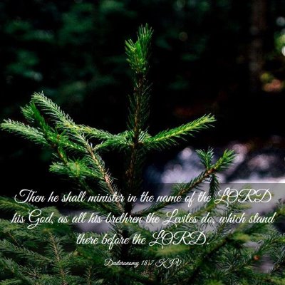 Picture 03 - Deuteronomy 18:7 KJV - Then he shall minister in the name of the LORD - Bible Verse Picture